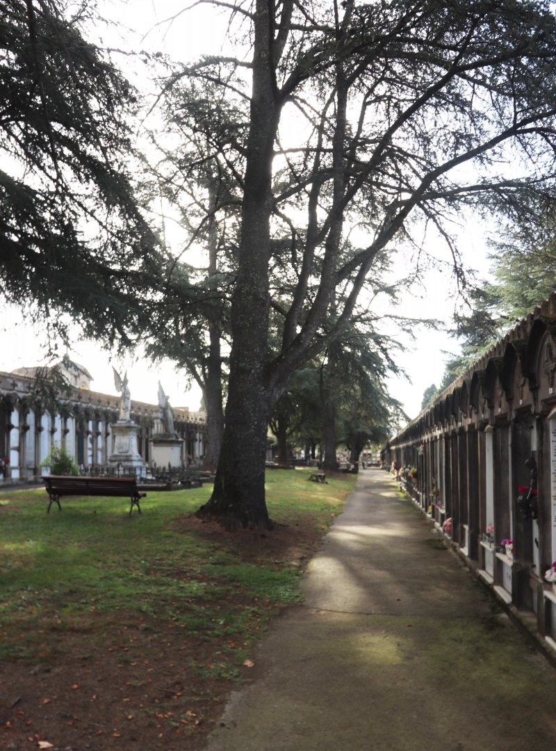 Cementiri Olot