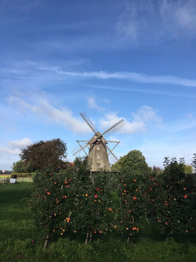 Windmuhle Lette