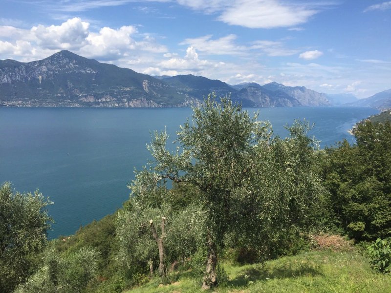 Ristorante Panoramico