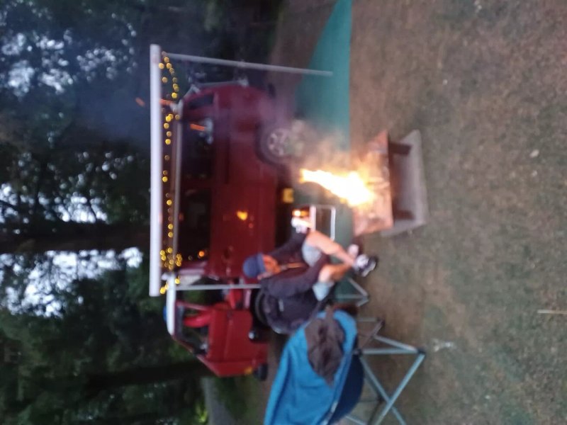 Low Nabs Wood Camping