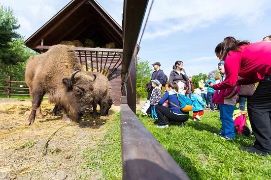 Korosvolgyi Zoo and Visitors' Centre