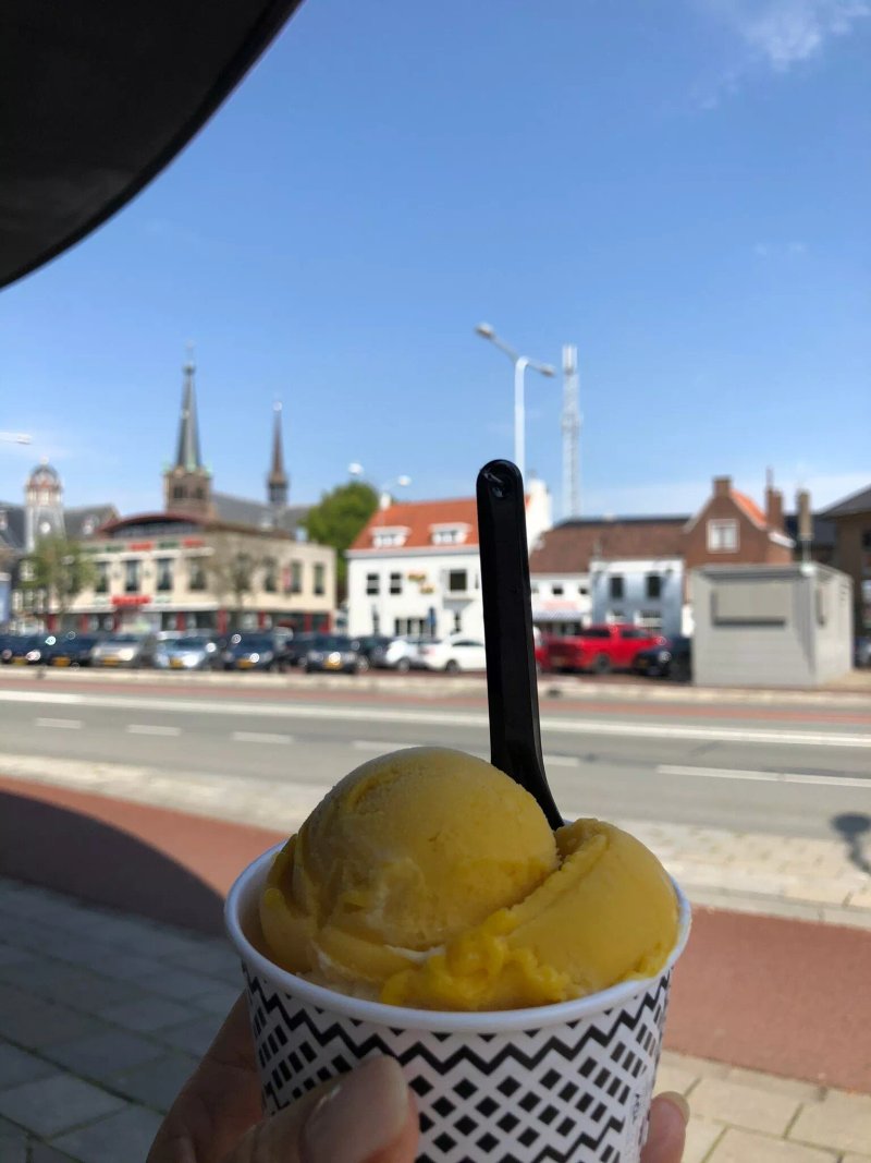 De IJswinckel Goes