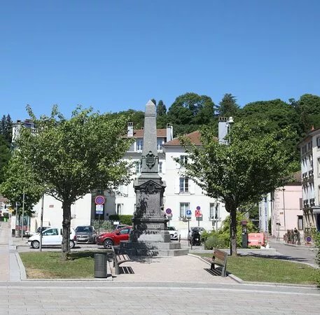 Aux Vosgiens Victimes En 1870-71
