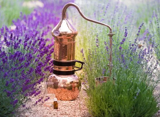 Distillerie Bel Air - Castelnaudary