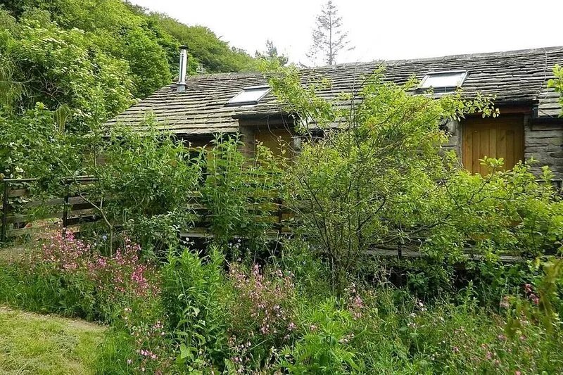 Apartment 2 Sleeps 3 (1Bedroom)
