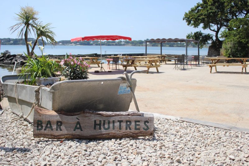 Les Huitres de l'ile de Gavrinis