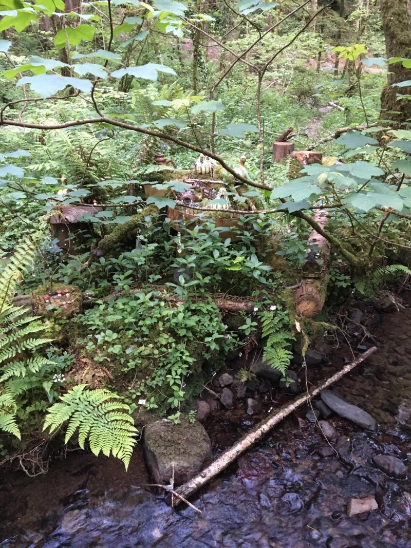 Wild Wood Cafe