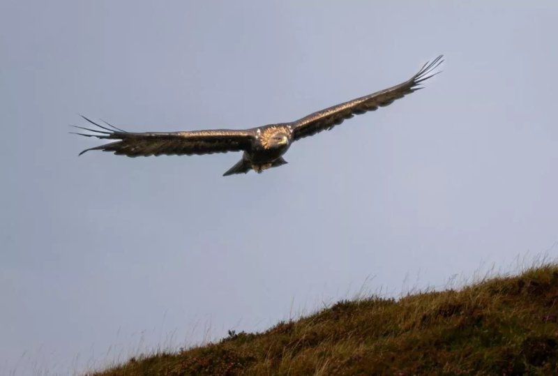 Skye Photo Academy