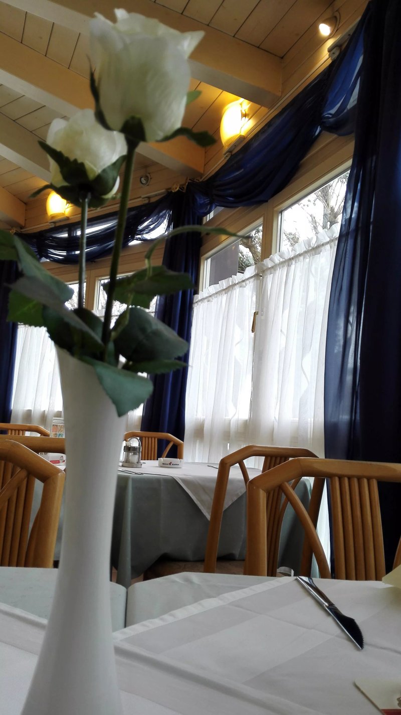 Restaurant Pizzeria la Fontana