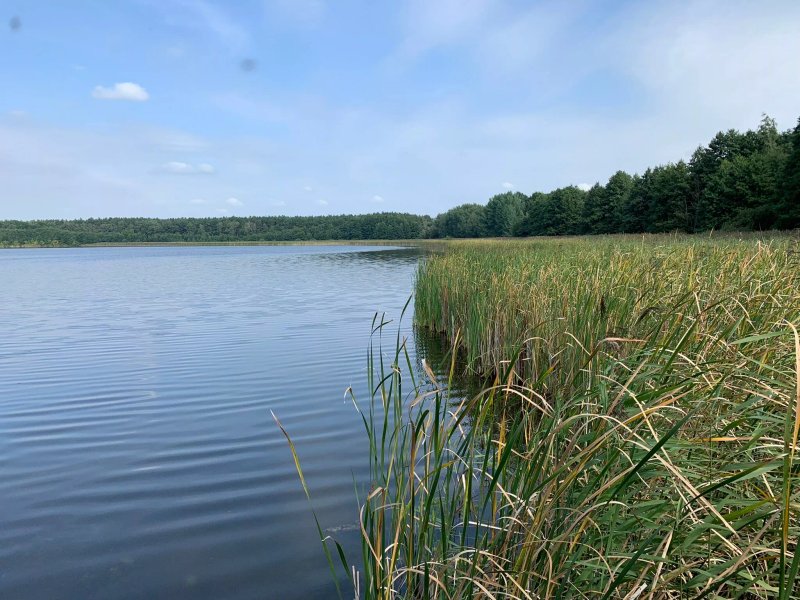 Landgasthof Rieben
