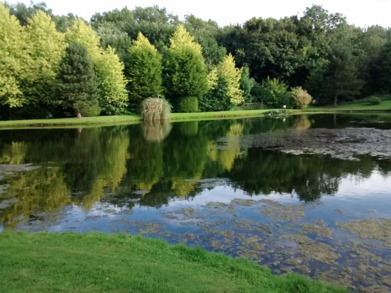 Hopton Hall Holiday Cottages & Gardens
