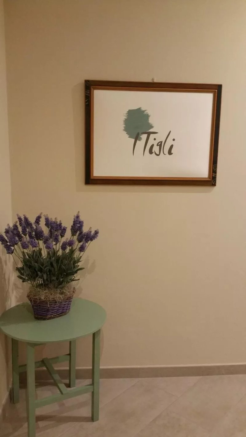 I Tigli Guest House