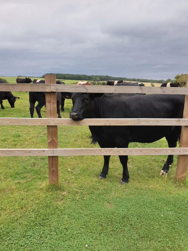 Ley Fields Farm