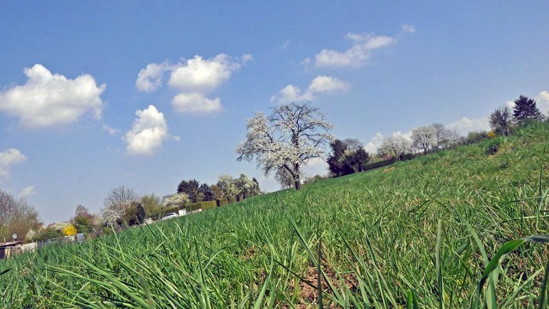 Dachsberg Frankfurt Bed & Breakfast