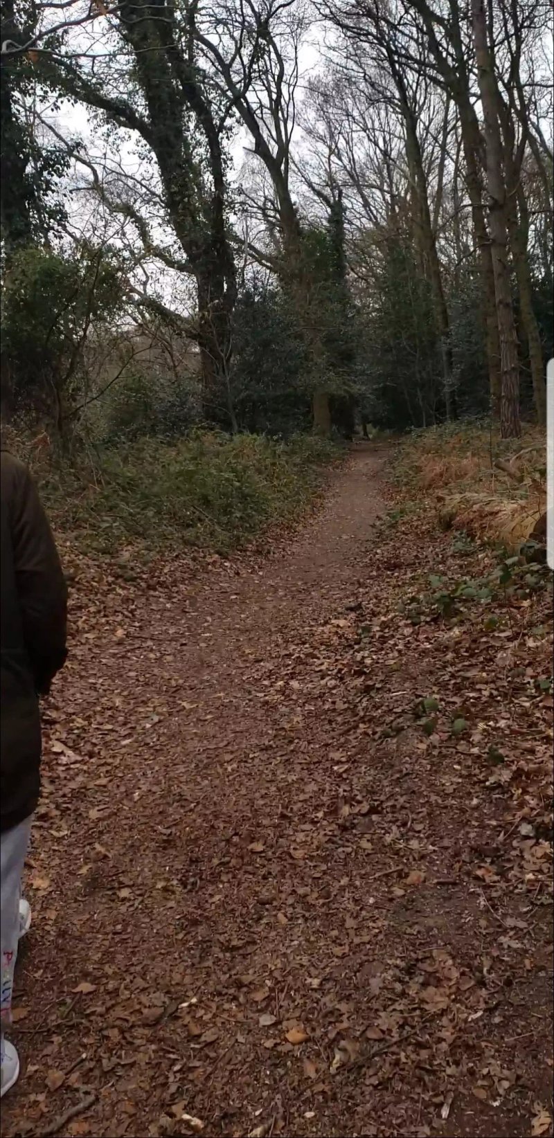 Pyrford Common