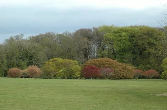 John F. Kennedy Arboretum