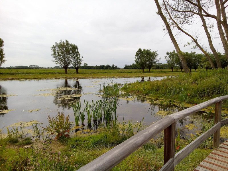 Cafeteria van Het Zwin Natuur park