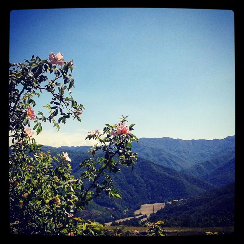 Agriturismo Il Ginepro