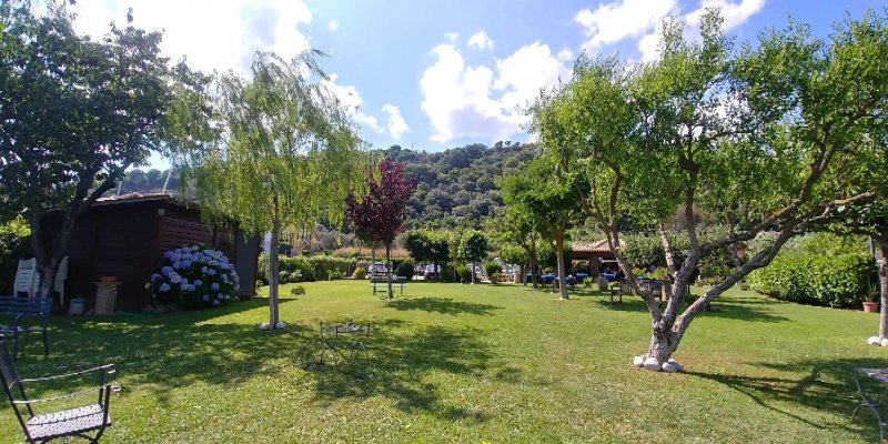 Ristorante Il Porticciolo