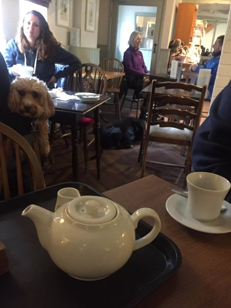 The Post Office Tea Rooms