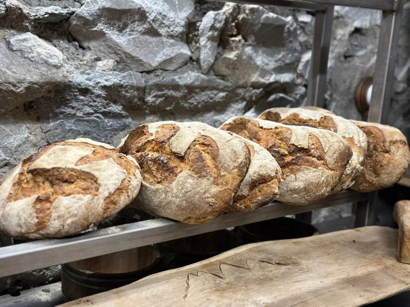 Chez Marcel & Fonsine