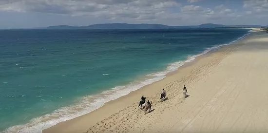 Entre Amigos Actividades Equestres