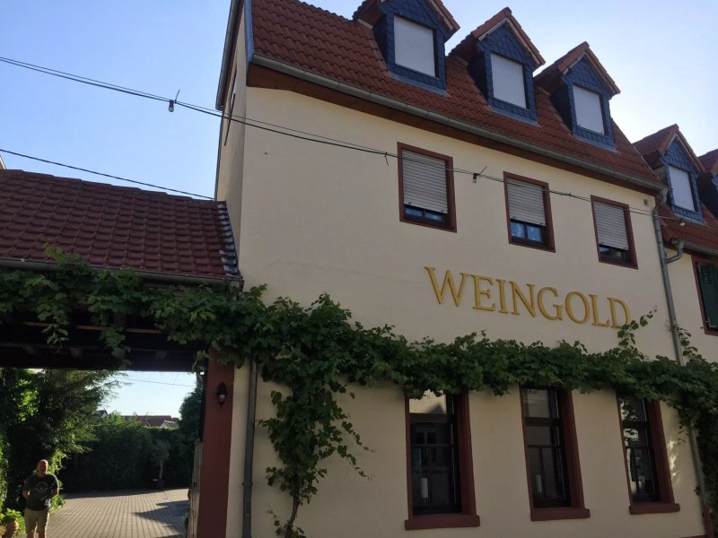 Landhotel Weingold Guntersblum