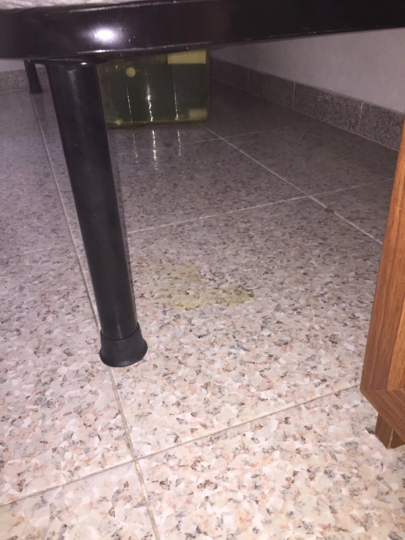 B&B Il Fiordaliso di Alghero