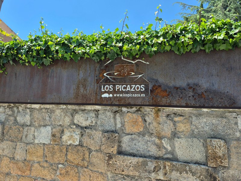 Los Picazos