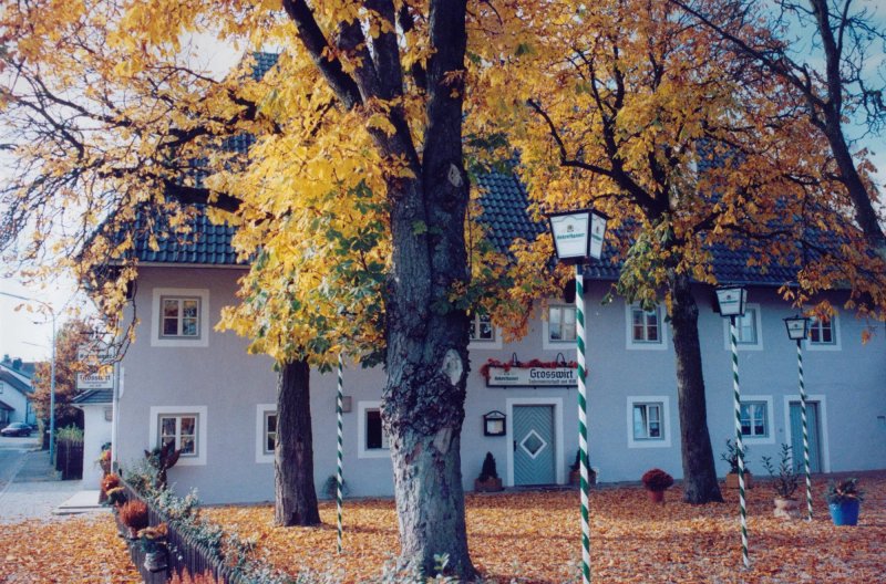 Grosswirt Mirskofen