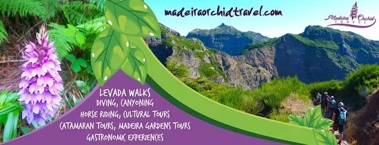 Madeira Orchid Travel