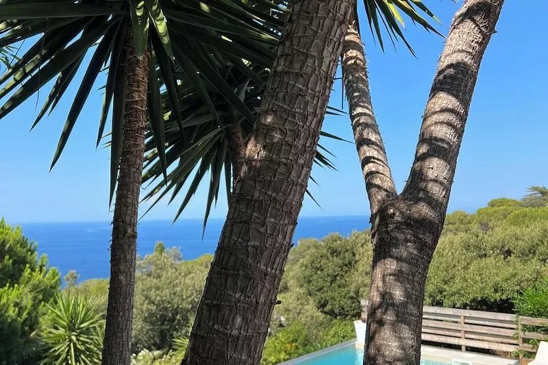CALVI EXCEPTIONAL, UNIQUE, PANORAMIC SEA VIEW, MODERN VILLA, SWIMMING POOL 8
