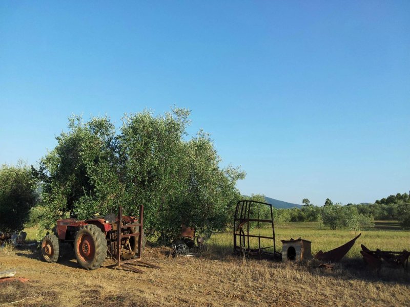 Agriturismo La Porcareccia