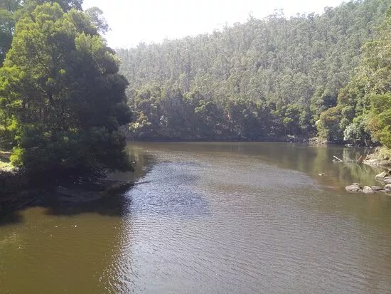 Ribeira do Tambre