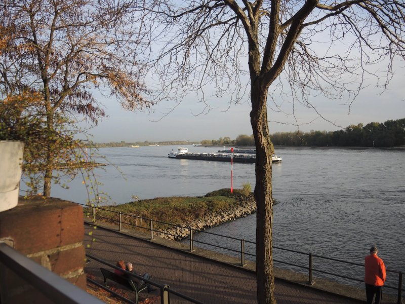 Restaurant Rheinterrassen