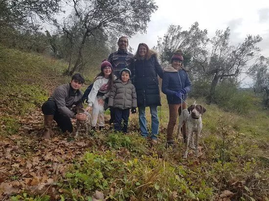Ricerca Tartufo .Tartufaio Per Un Giorno Assisi