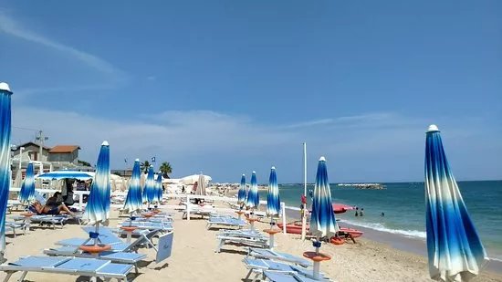 Barracuda Summer Fun