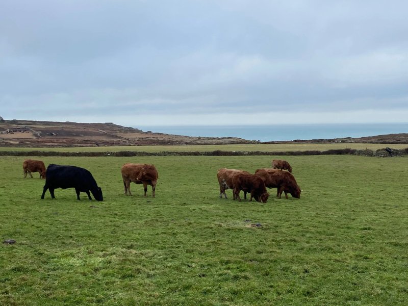 2 bedroom accommodation in Pendeen