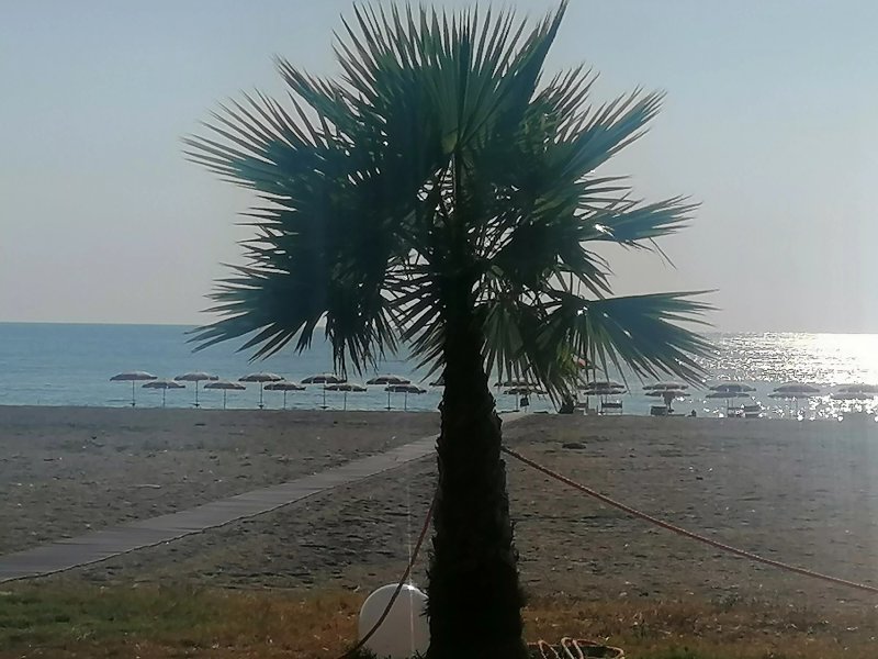 Lido il Tritone