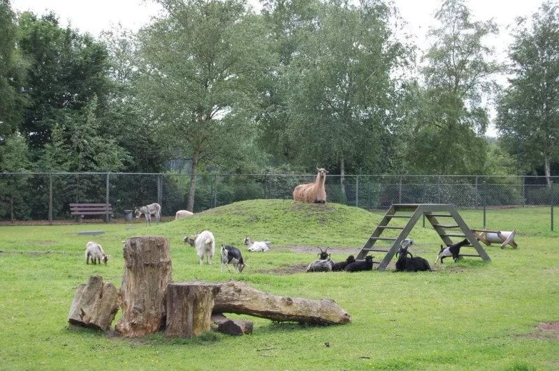Griendtsveenpark