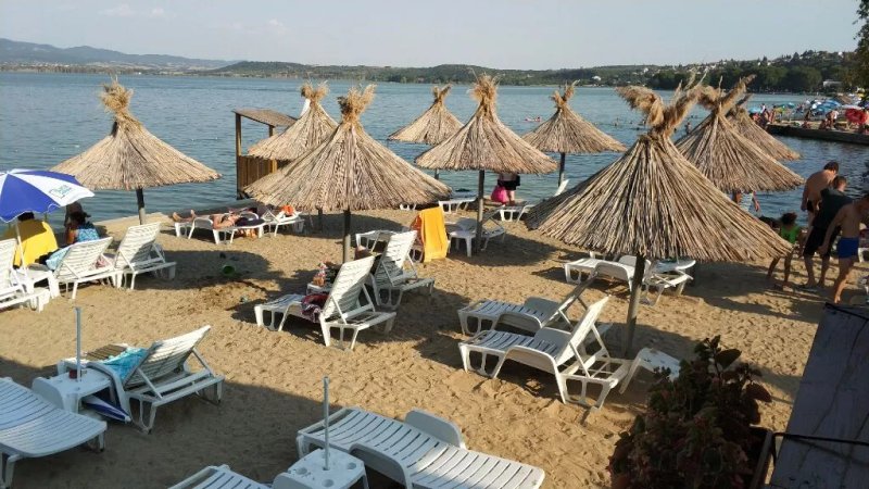 Beach Bar Re-Form