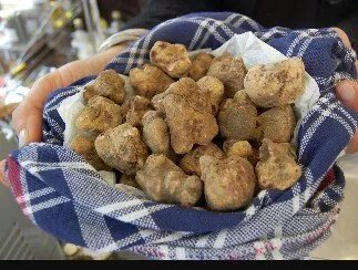 Dogana Vecchia