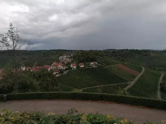 Stuttgarter Weinwanderweg