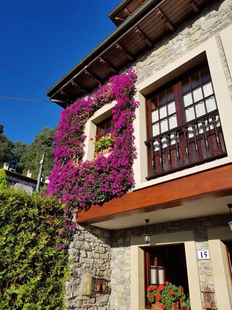Casa Rural Llugaron I