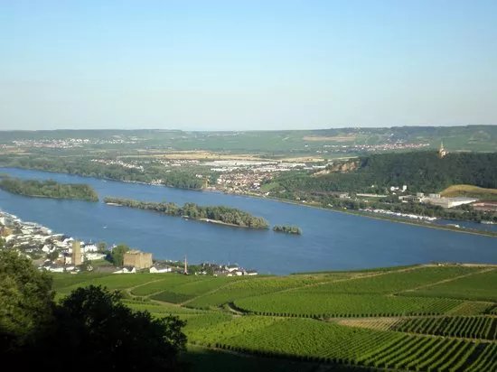EvenTours Rheingau Tours