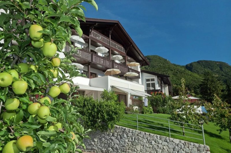 Pension & Apartments Riedingerhof