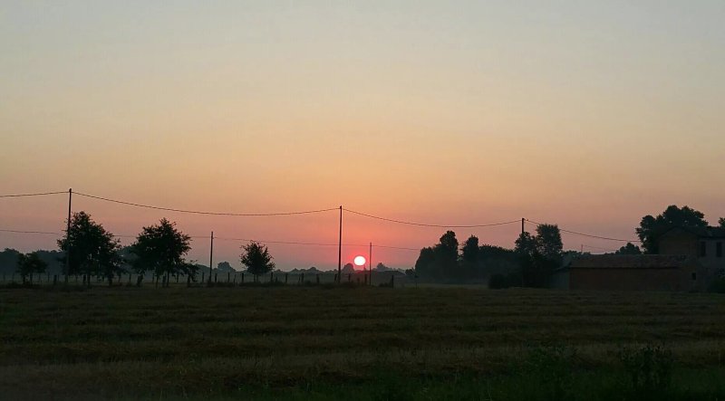 La Mandriazza Del Gallo - Agriturismo