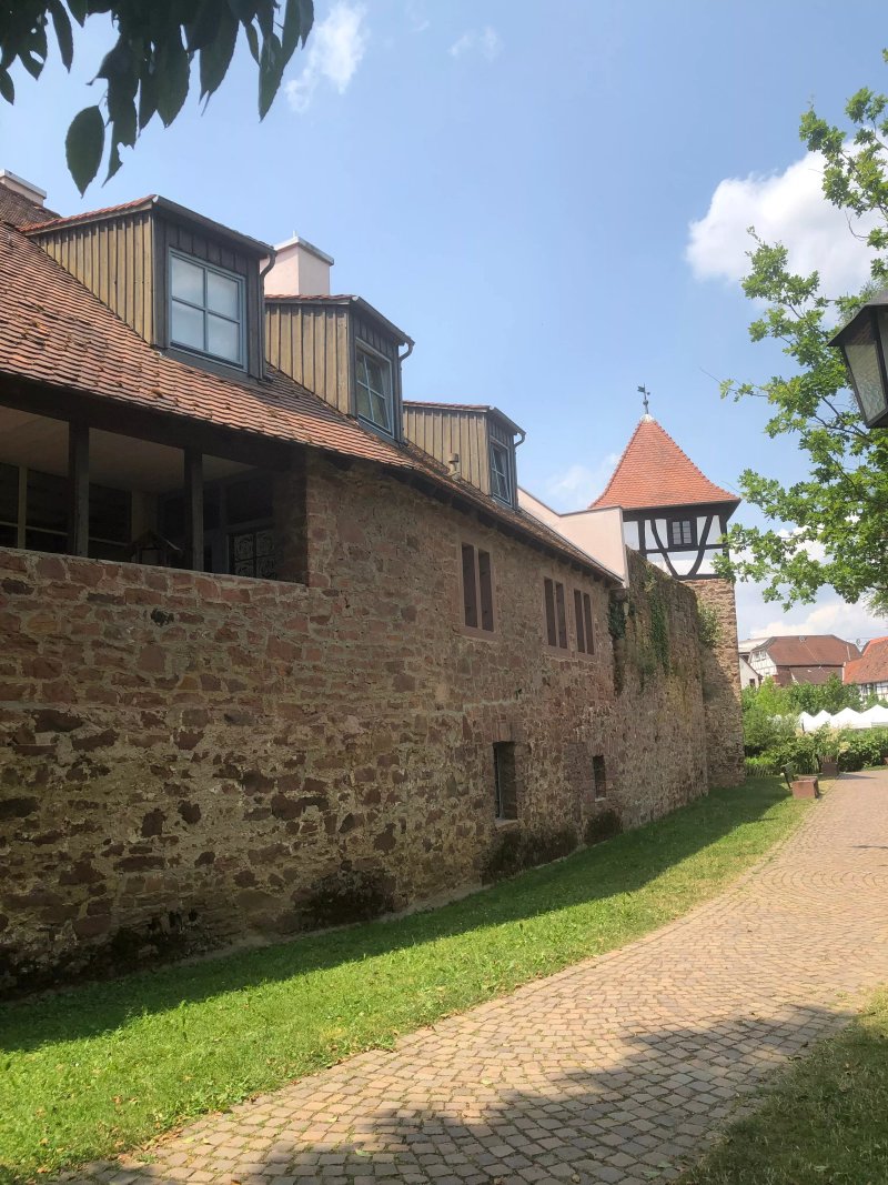 Michelstadter Stadtgarten