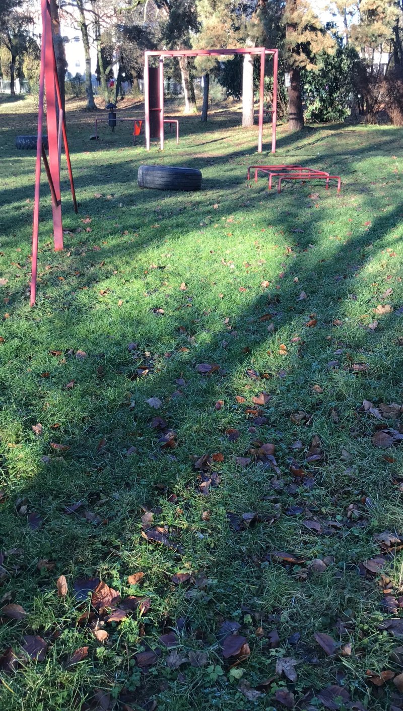 Workout