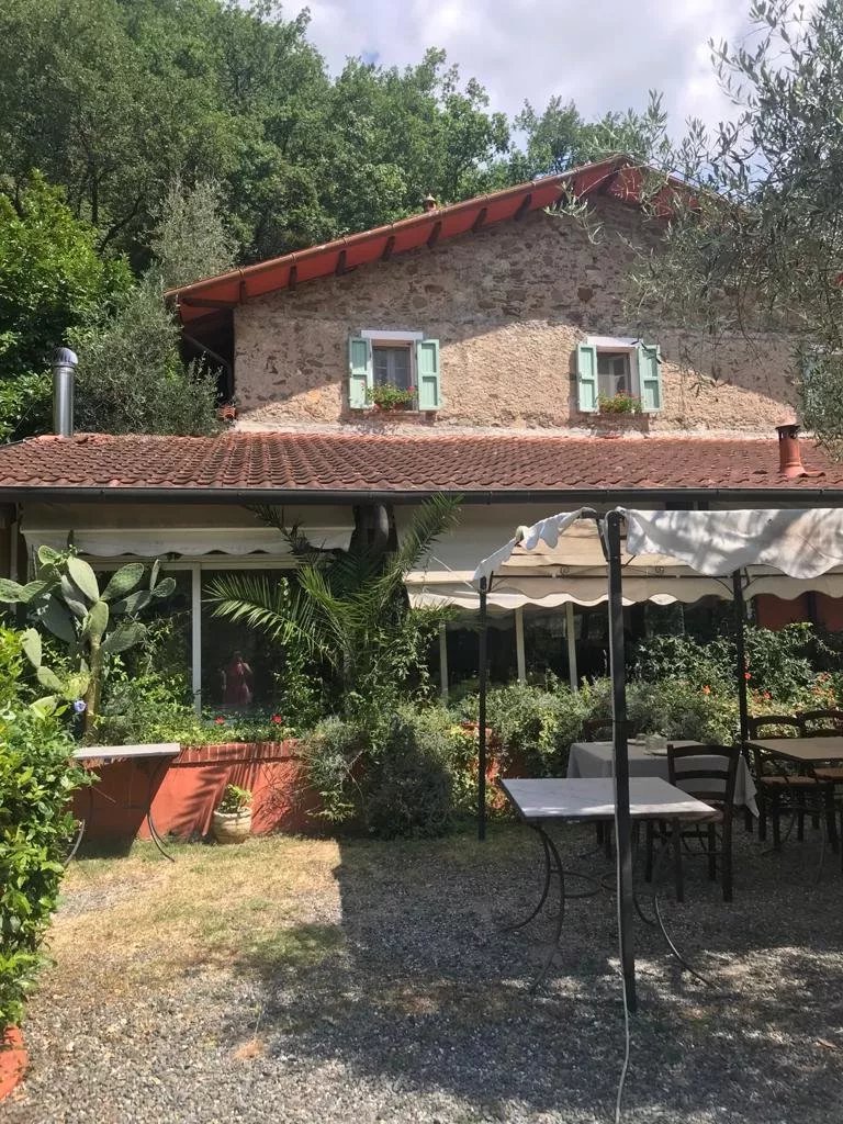 Gli Ulivi